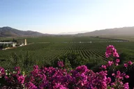 San Diego Valle de Guadalupe Winery Tour thumbnail 5