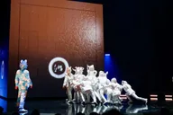 San Francisco Cirque du Soleil ECHO Show thumbnail 4