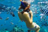 Blue Lagoon Snorkeling Tour thumbnail 3