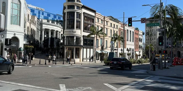 Los Angeles Hollywood and Beverly Hills Private SUV Tour 3.5 hr - Image 1