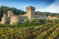 Cupertino Wine Tour of Napa & Sonoma thumbnail 5