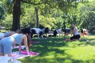 New York Central Park Yoga Class thumbnail 6