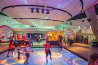 Miami Frost Science Museum and Planetarium Ticket thumbnail 4