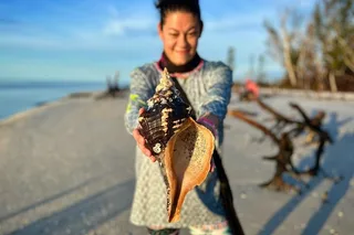 10,000 Islands Private Shelling Tour