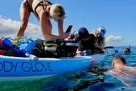 Wailea Beach Snorkeling Tour for Non-Swimmers 1.5 hr thumbnail 4