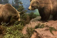 Denver Museum of Nature and Science Digital Tour thumbnail 2