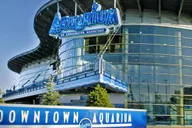 Denver Aquarium All-Day Pass thumbnail 1