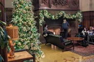 Chicago Christmas Tree Crawl thumbnail 2