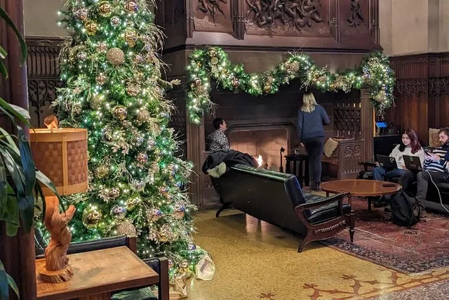 Chicago Christmas Tree Crawl - Image 2