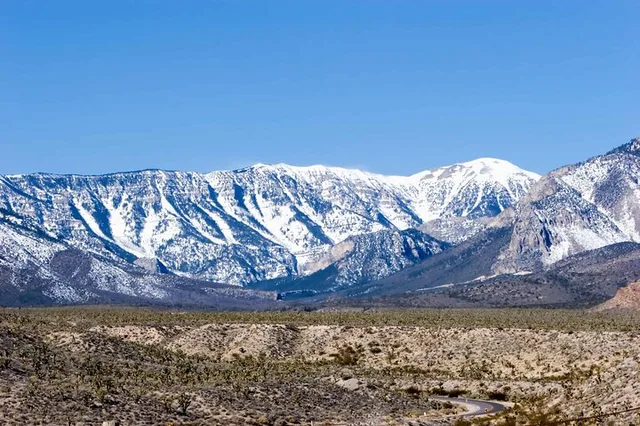 Las Vegas Mount Charleston Tour - Image 4