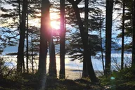 Seward Kayak Tour to Bridal Veil Falls 5 hr thumbnail 5