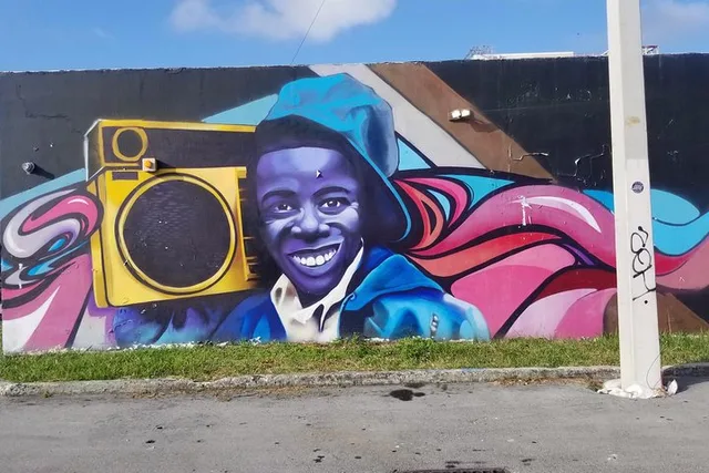Miami City Tour of Wynwood and Little Havana - Image 4