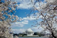Washington D.C. Private SUV City Tour thumbnail 4