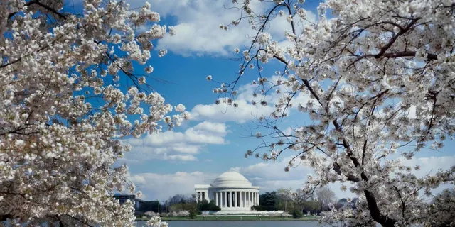 Washington D.C. Private SUV City Tour - Image 4