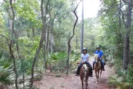Amelia Island Horseback Ride at Pumpkin Hill 2 hr thumbnail 4