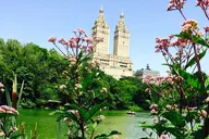 New York Central Park Photo Tour thumbnail 2