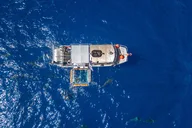Oahu Shark Cage Diving thumbnail 3