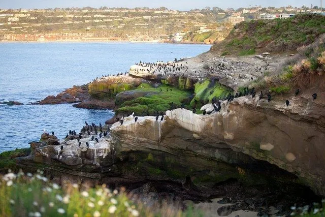 San Diego Sightseeing Tour - Image 3