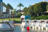 Los Angeles Swan Boat Rental at Echo Park Lake thumbnail 1