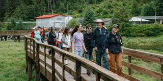 Ketchikan Rainforest Sanctuary and Totem Park Walk