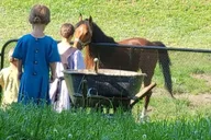 Lancaster Amish Immersion Experience 3 hr thumbnail 2