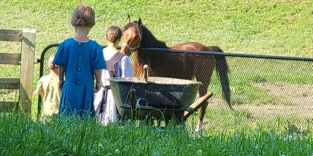 Lancaster Amish Immersion Experience 3 hr - Image 2