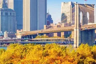 New York City Fall Foliage Cruise thumbnail 1