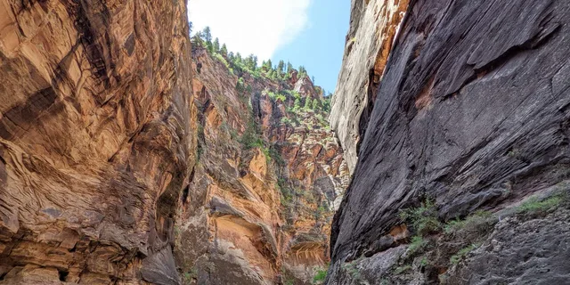 Las Vegas Zion National Park Small Group Tour - Image 2