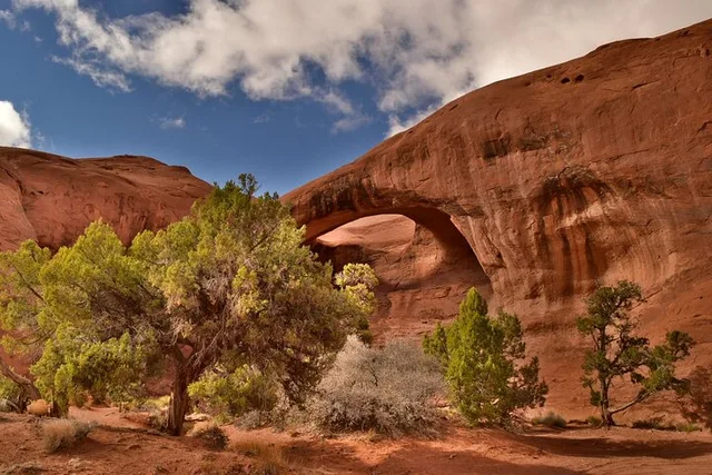 Monument Valley 4×4 Tour in Mystery Valley 3.5 Hr - Image 4