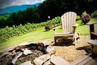 Asheville Wine Tour with Dining in Black Mountain thumbnail 6