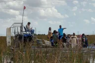Miami Everglades Airboat Tour with Water Taxi thumbnail 4