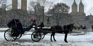 New York City Horse Carriage Ride in Central Park