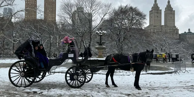New York City Horse Carriage Ride in Central Park - Image 1
