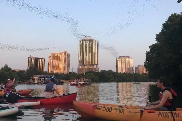 Austin Bat Bridge Kayak Tour - Image 3