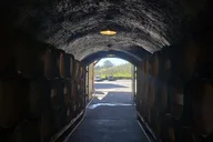 San Francisco Sonoma Wine Tasting Tour 6 hr thumbnail 4
