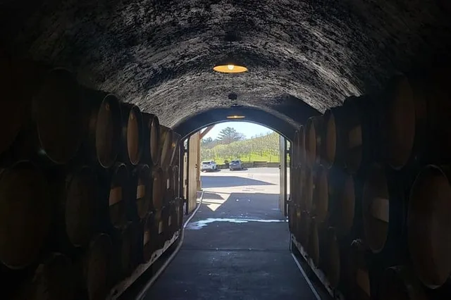 San Francisco Sonoma Wine Tasting Tour 6 hr - Image 4