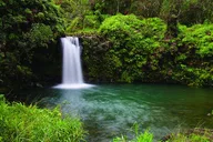 Maui Road to Hana Private Tour thumbnail 3