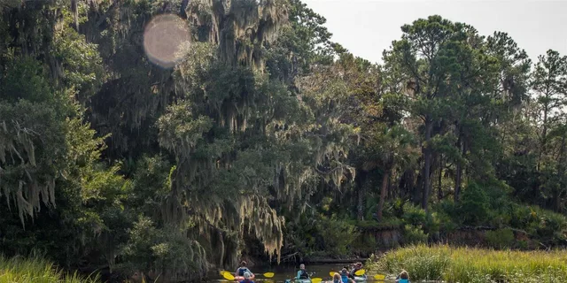 Hilton Head Private Outback Kayak Tour - Image 5