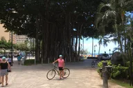 Honolulu Historical Bike Tour thumbnail 2