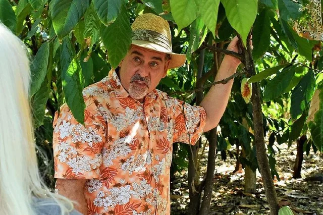 Holualoa Farm Tour: Coffee and Chocolate Experience - Image 2