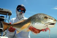 Marathon Inshore Fishing Charter thumbnail 4