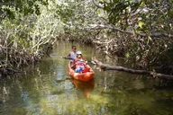 Key Largo Mangrove Kayak Rental thumbnail 5