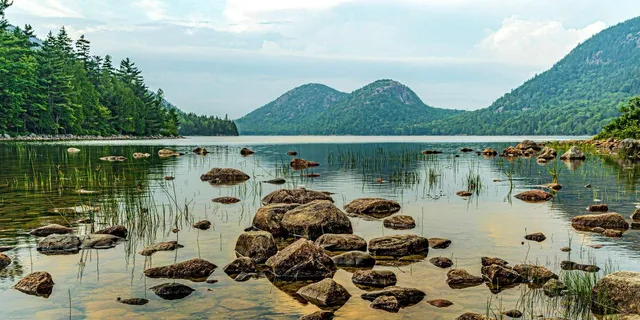 Acadia National Park Private Tour with Cadillac Mountain - Image 5