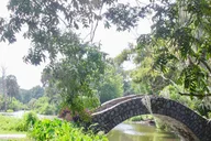 New Orleans Creole Bike Tour thumbnail 5