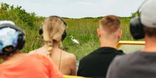 Miami Everglades Airboat Ride and Nature Walk