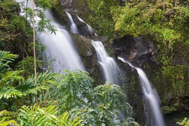 Maui Hana Tour from Oahu - Image 2