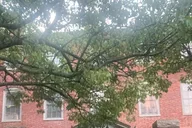Portland Ghost Walking Tour thumbnail 3