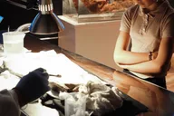 Salem Pirate Museum Tour thumbnail 4