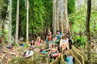 Kona Cloud Forest Sanctuary Jungle Tour thumbnail 2