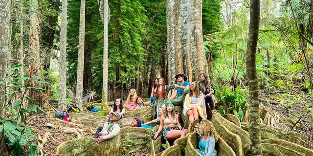 Kona Cloud Forest Sanctuary Jungle Tour - Image 2